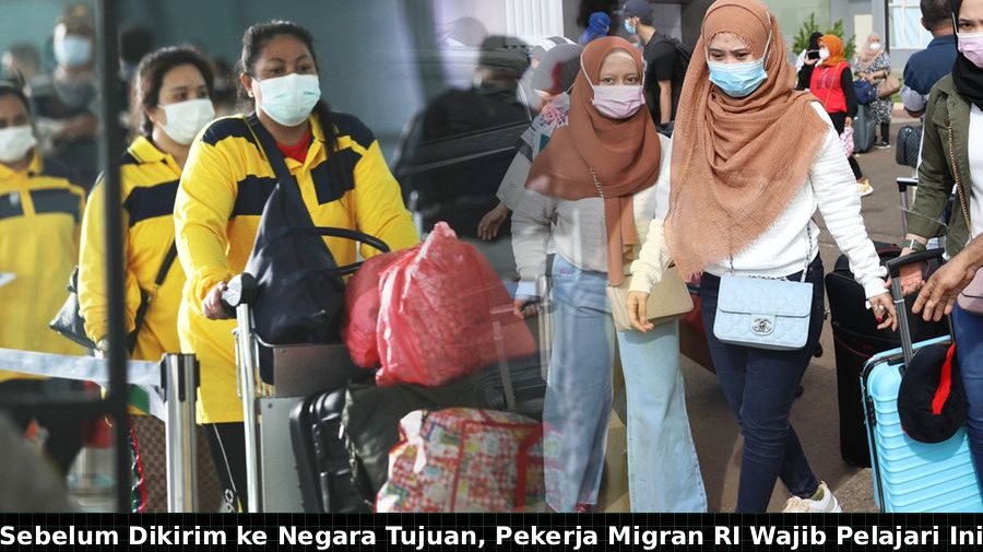 Pekerja Migran